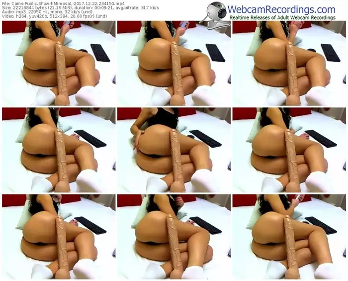 cams-mimosa1-webcam-show-12_22_2017-23_41_50