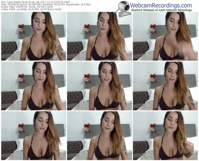 cams-nat_cat-webcam-show-12_22_2017-23_21_50