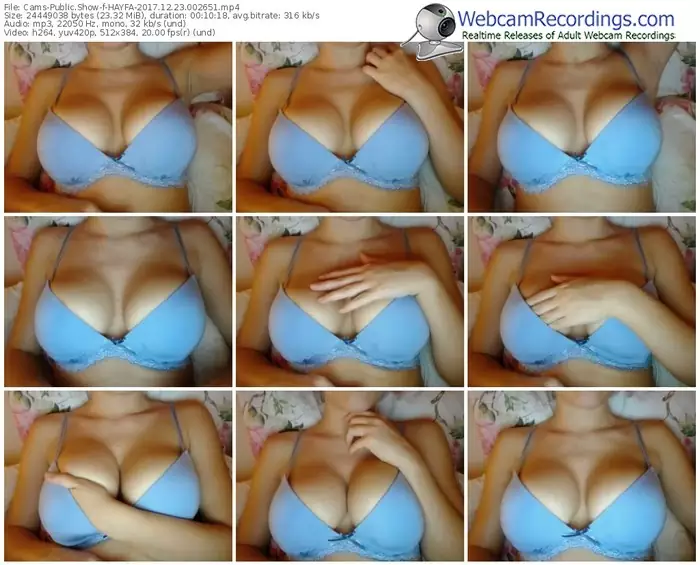 cams-hayfa-webcam-show-12_23_2017-00_26_51