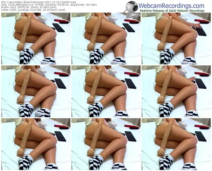 cams-mimosa1-webcam-show-12_23_2017-15_30_05