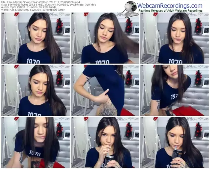 cams-sashanelson-webcam-show-12_23_2017-00_06_50