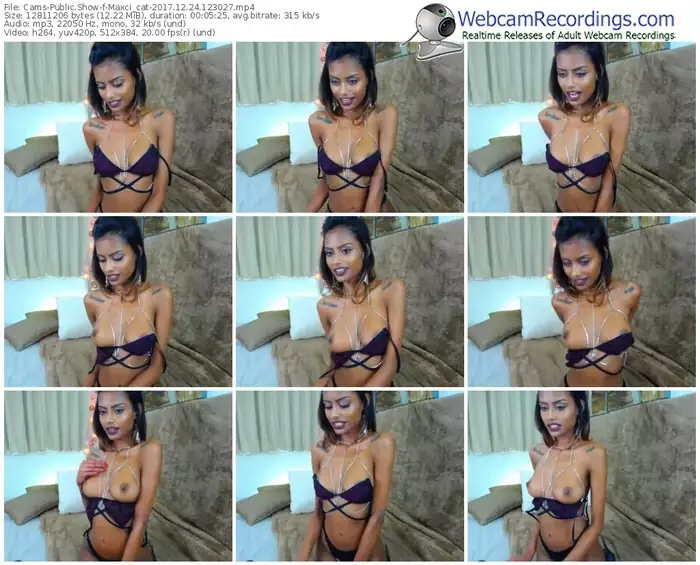 cams-maxci_cat-webcam-show-12_24_2017-12_30_27