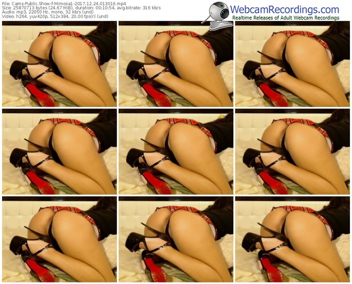 cams-mimosa1-webcam-show-12_24_2017-01_30_16