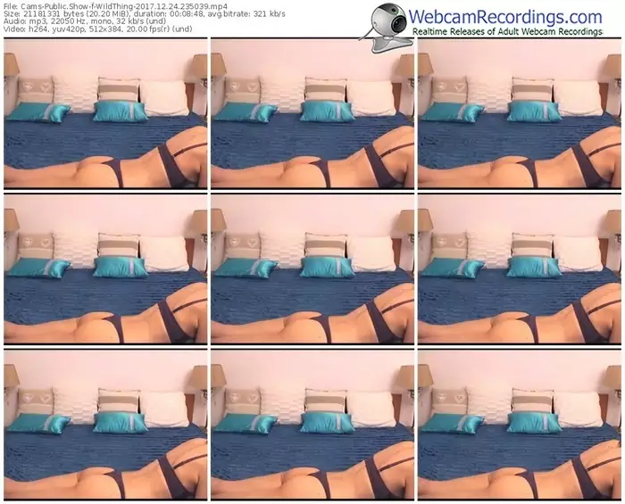 cams-wildthing-webcam-show-12_24_2017-23_50_39