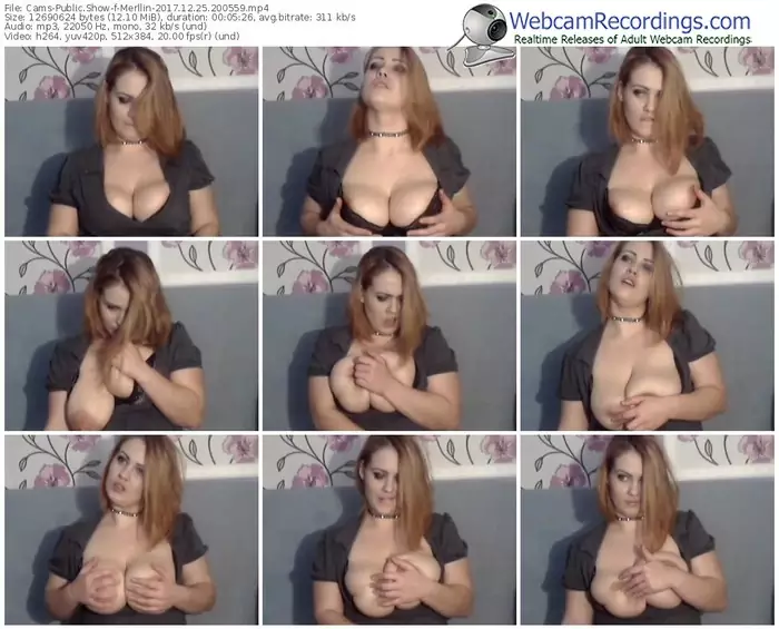 cams-merllin-webcam-show-12_25_2017-20_05_59