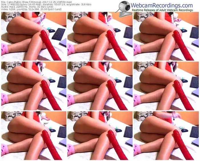 cams-mimosa1-webcam-show-12_25_2017-10_45_50