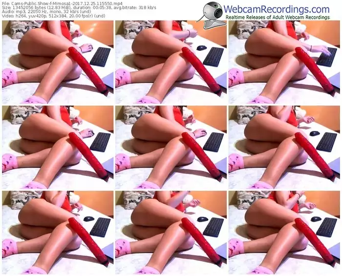 cams-mimosa1-webcam-show-12_25_2017-11_55_50