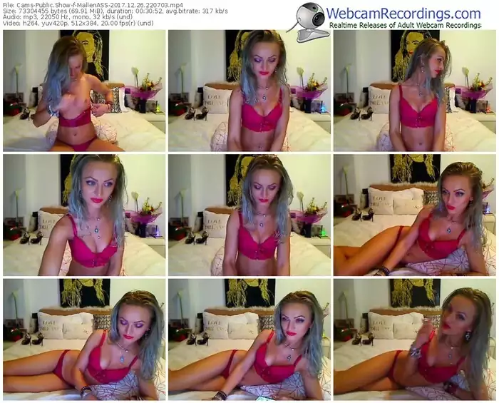 cams-mallenass-webcam-show-12_26_2017-22_07_03