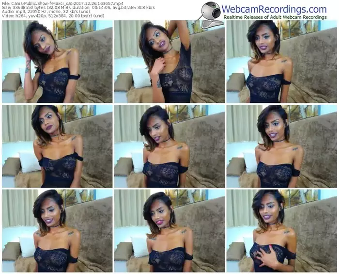 cams-maxci_cat-webcam-show-12_26_2017-16_36_57