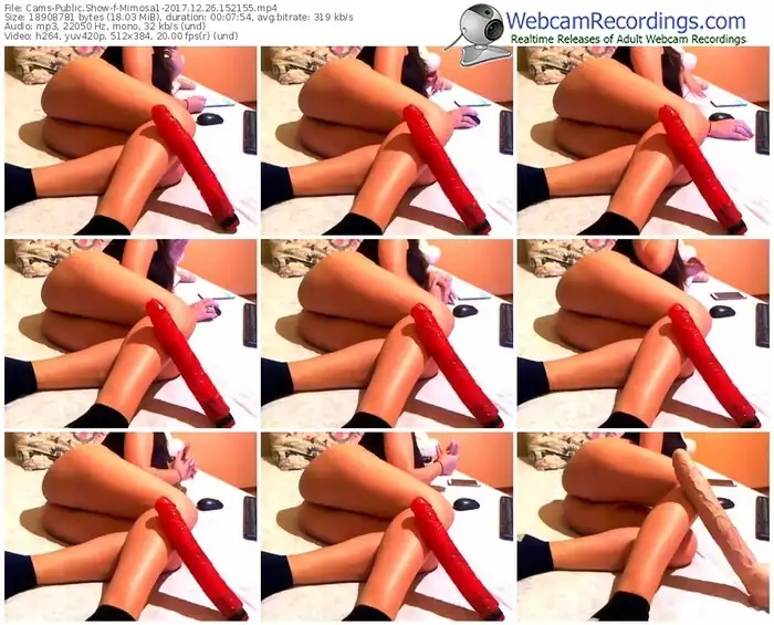 cams-mimosa1-webcam-show-12_26_2017-15_21_55