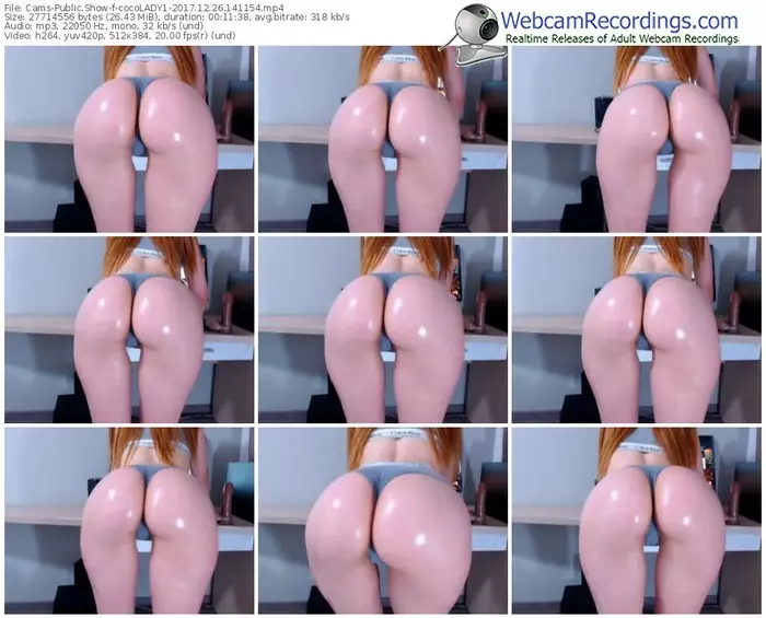 cams-cocolady1-webcam-show-12_26_2017-14_11_54