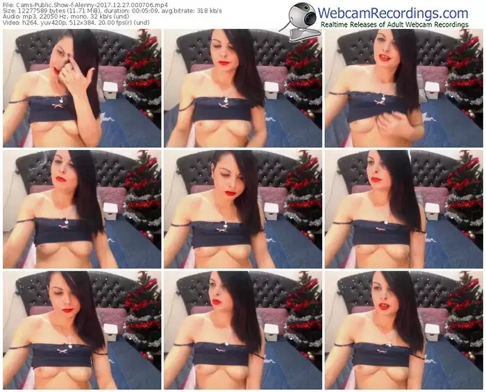 cams-alenny-webcam-show-12_27_2017-00_07_06