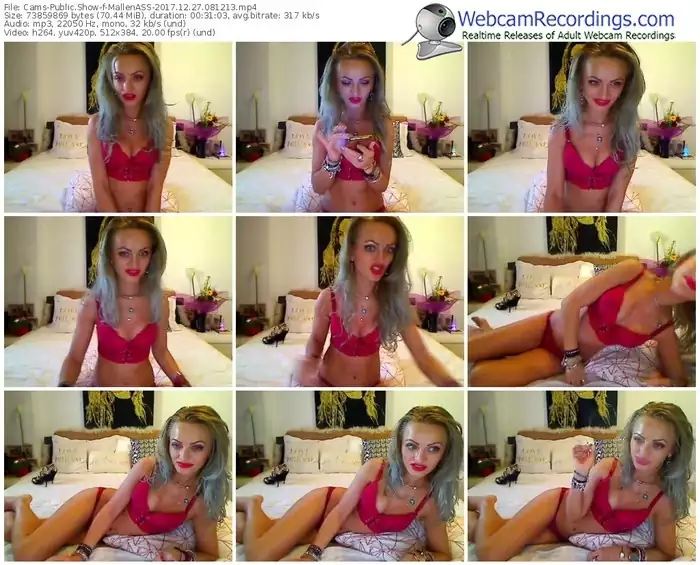 cams-mallenass-webcam-show-12_27_2017-08_12_13