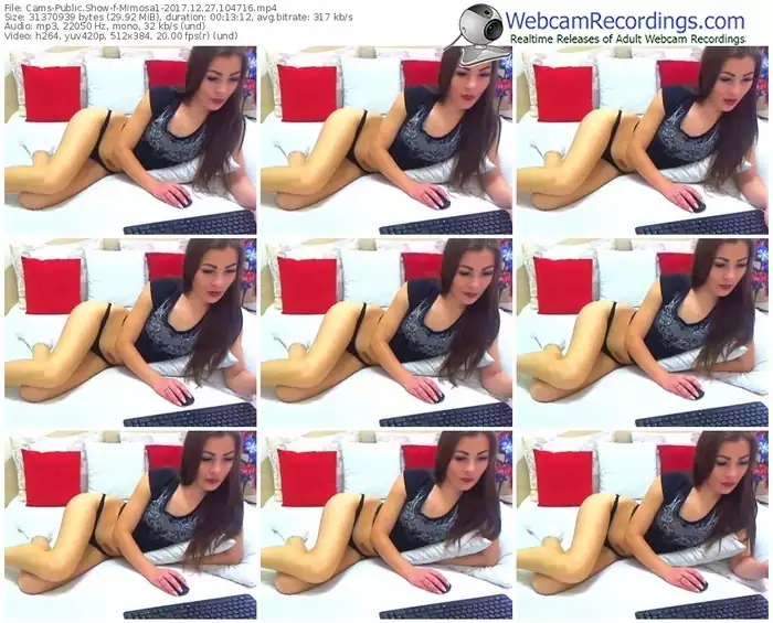 cams-mimosa1-webcam-show-12_27_2017-10_47_16