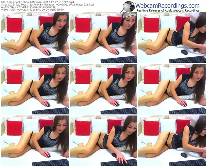 cams-mimosa1-webcam-show-12_27_2017-11_32_17