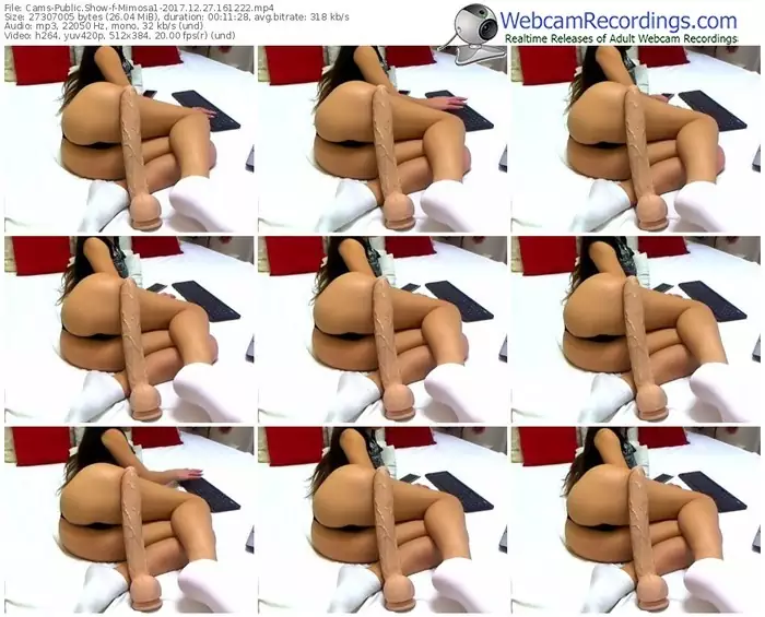 cams-mimosa1-webcam-show-12_27_2017-16_12_22