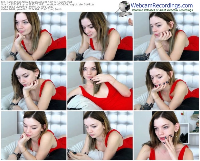 cams-prescovia-webcam-show-12_27_2017-15_47_22