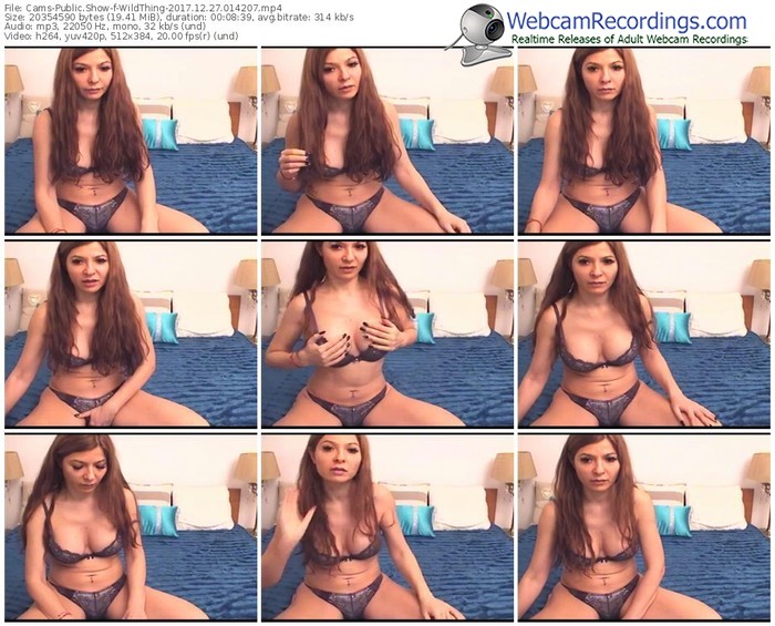 cams-wildthing-webcam-show-12_27_2017-01_42_07