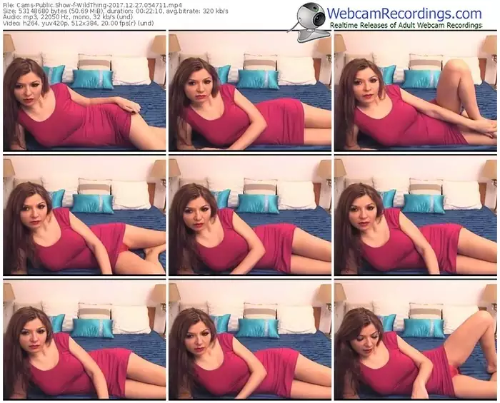 cams-wildthing-webcam-show-12_27_2017-05_47_11