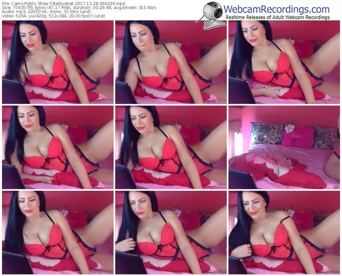 cams-barbyekat-webcam-show-12_28_2017-09_02_39
