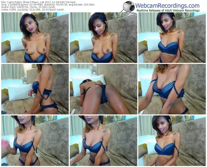 cams-maxci_cat-webcam-show-12_28_2017-04_07_34