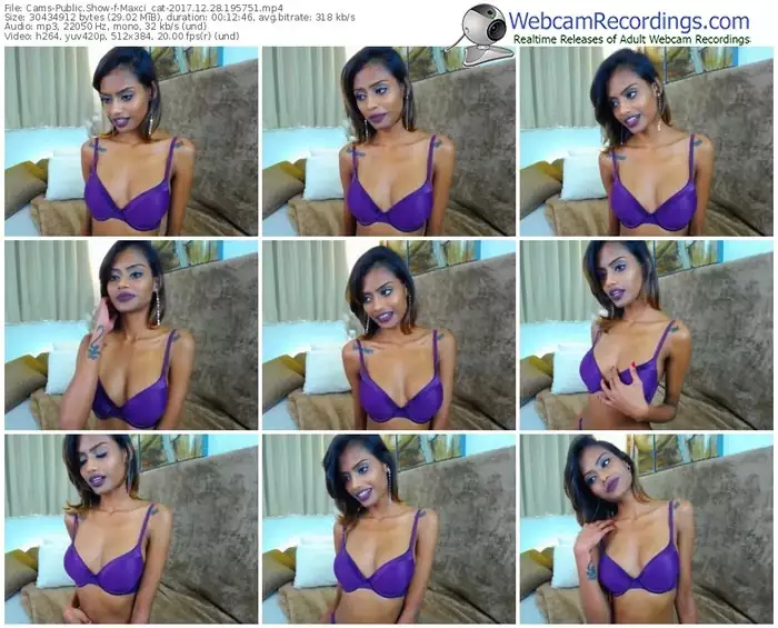 cams-maxci_cat-webcam-show-12_28_2017-19_57_51