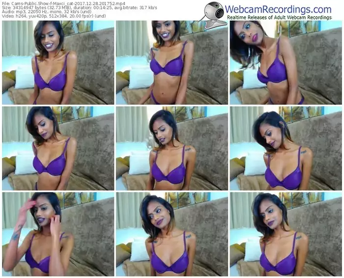 cams-maxci_cat-webcam-show-12_28_2017-20_17_52