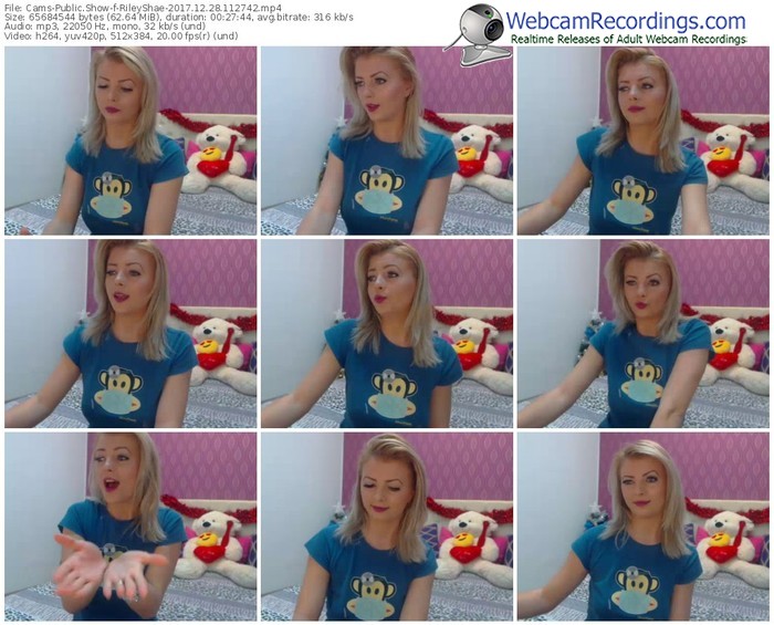 cams-rileyshae-webcam-show-12_28_2017-11_27_42