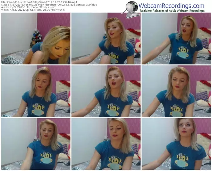 cams-rileyshae-webcam-show-12_28_2017-14_32_46