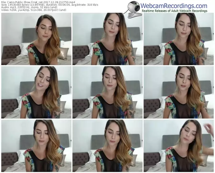 cams-nat_cat-webcam-show-12_28_2017-21_27_53