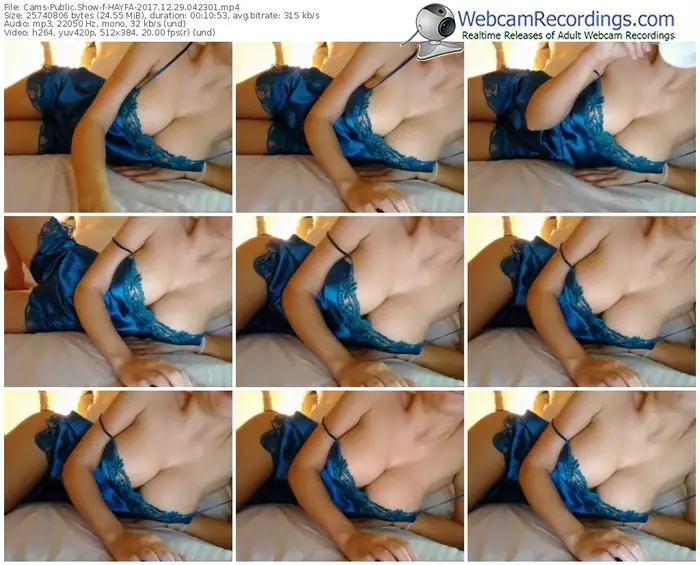 cams-hayfa-webcam-show-12_29_2017-04_23_01