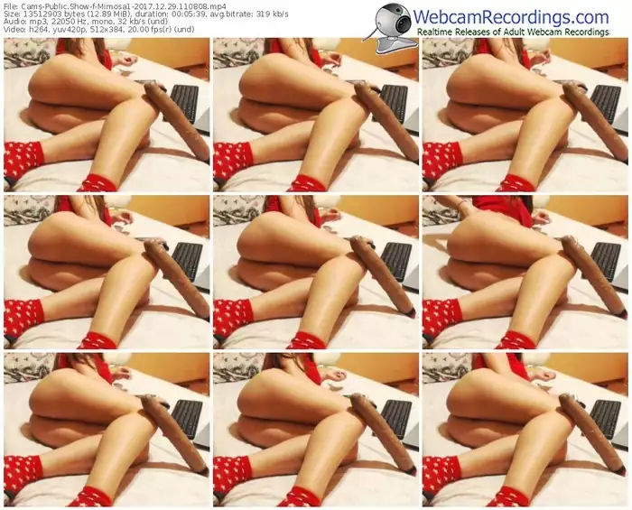 cams-mimosa1-webcam-show-12_29_2017-11_08_08