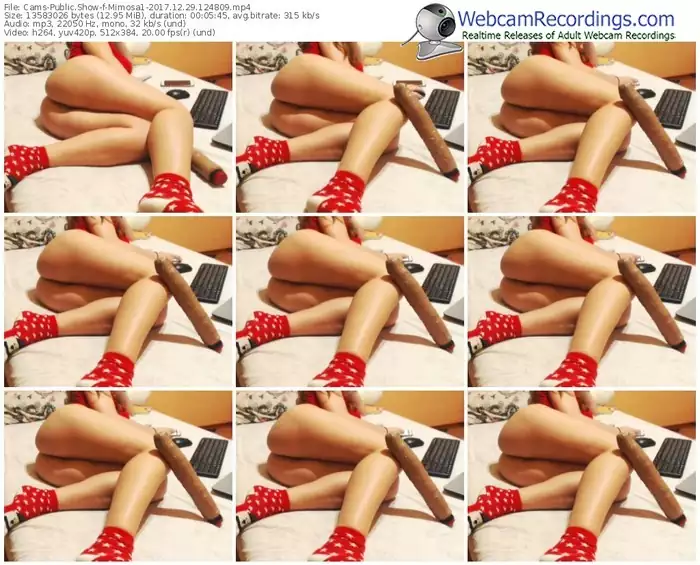 cams-mimosa1-webcam-show-12_29_2017-12_48_09