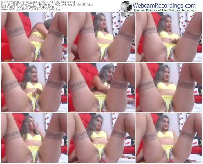 cams-sensualco-webcam-show-12_29_2017-16_13_13