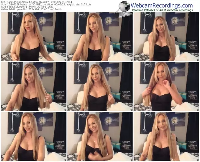 cams-catsmith-webcam-show-12_30_2017-02_42_51