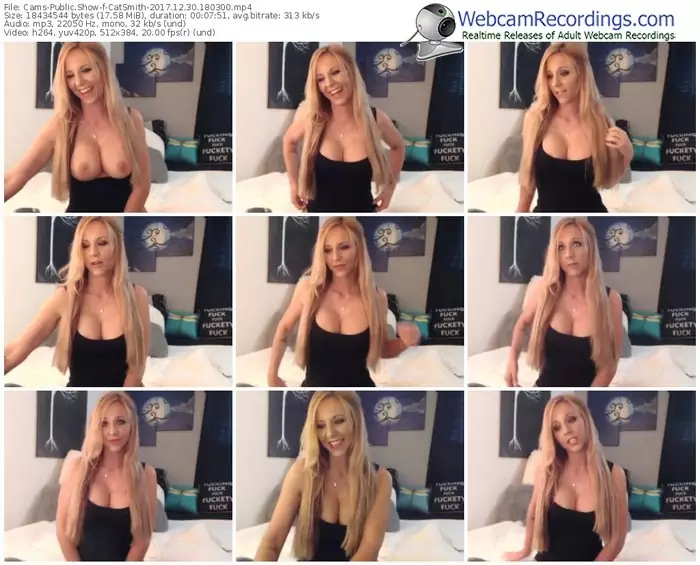 cams-catsmith-webcam-show-12_30_2017-18_03_00