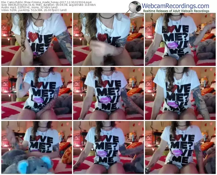 cams-home_made_honey-webcam-show-12_30_2017-02_33_24