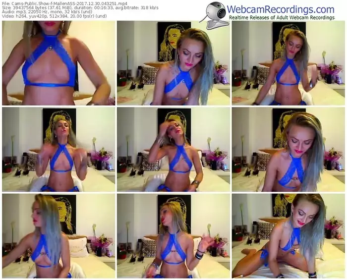 cams-mallenass-webcam-show-12_30_2017-04_32_51