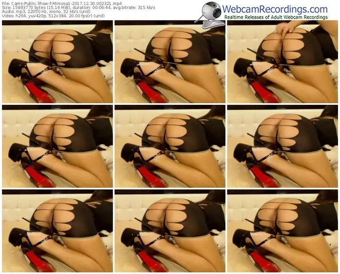 cams-mimosa1-webcam-show-12_30_2017-00_23_21