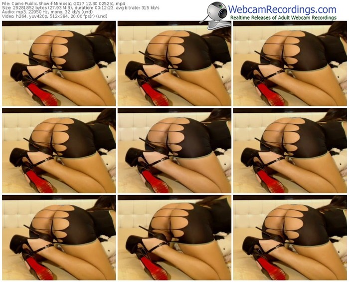 cams-mimosa1-webcam-show-12_30_2017-02_52_51