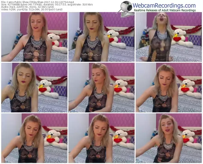 cams-rileyshae-webcam-show-12_30_2017-12_27_54