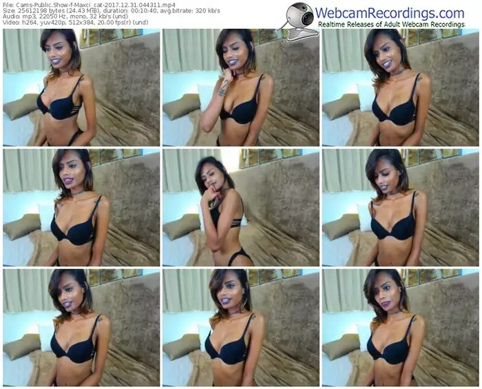 cams-maxci_cat-webcam-show-12_31_2017-04_43_11