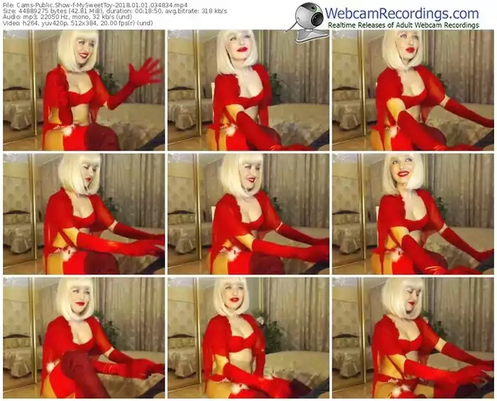 cams-mysweettoy-webcam-show-01_01_2018-03_48_34