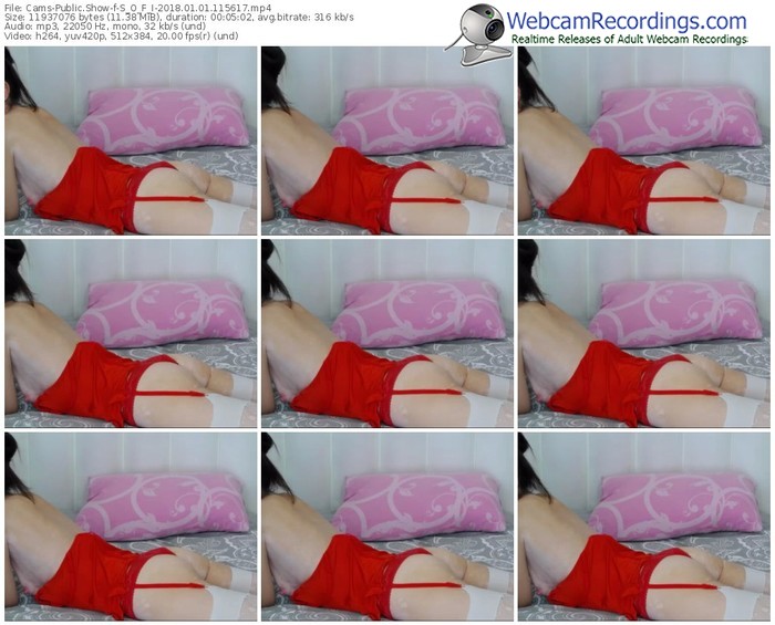 cams-s_o_f_i-webcam-show-01_01_2018-11_56_17