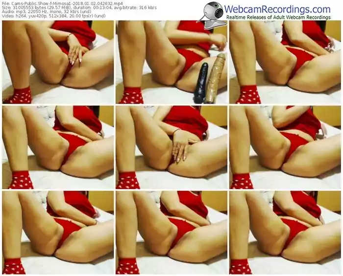 cams-mimosa1-webcam-show-01_02_2018-04_26_32