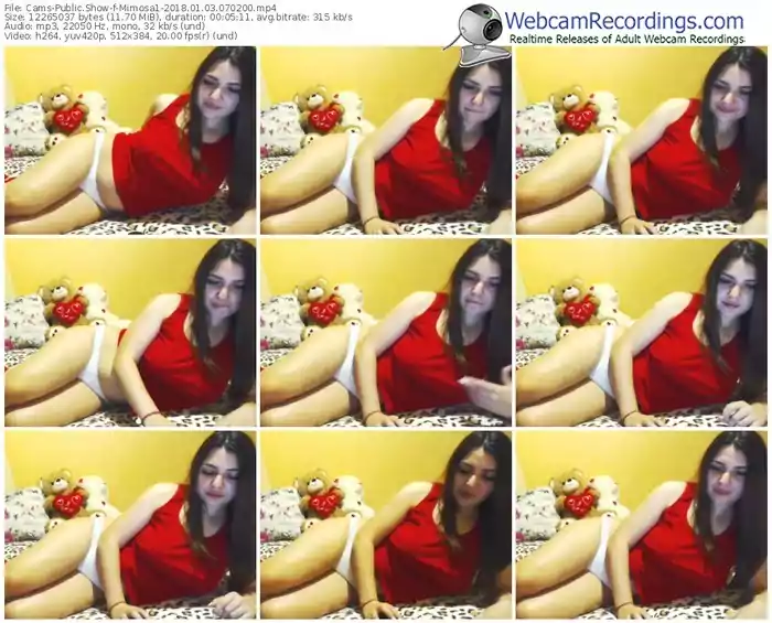 cams-mimosa1-webcam-show-01_03_2018-07_02_00