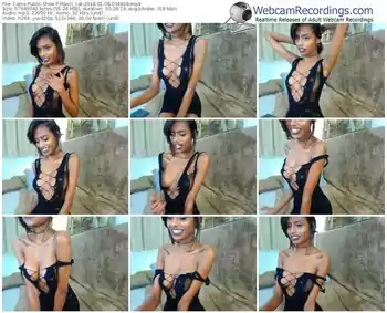 cams-maxci_cat-webcam-show-01_08_2018-03_48_08