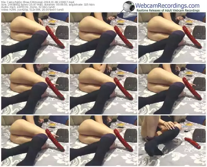 cams-mimosa1-webcam-show-01_08_2018-10_38_17