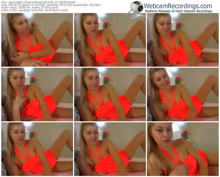 cams-amida-webcam-show-01_10_2018-20_59_18