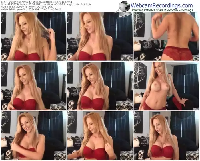 cams-catsmith-webcam-show-01_11_2018-17_24_40